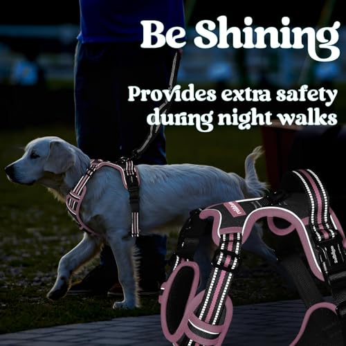 rabbitgoo Dog Harness Small Sized, Updated Easy On & Off with 3 Buckles | No Pull No Choke, Walking with 2 Clips and Handle, Adjustable Soft Reflective, Black & Pink, Small - color: Black & Pink, size: Small