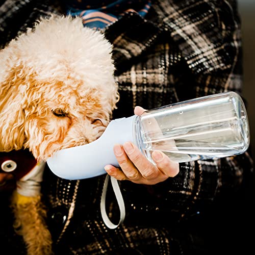 Mr. Pen- Portable Dog Water Bottle, 19 oz, Large | Leak Proof Puppy Water Dispenser with Drinking Feeder for Pets, Outdoor Walking, Hiking, Travel, Not Dishwasher Safe - color: Blue