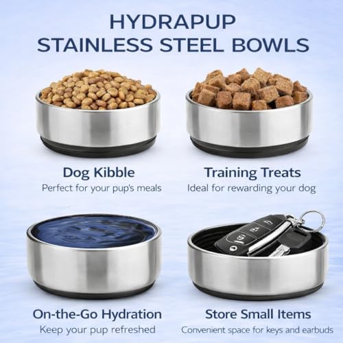 32oz Insulated Water Bottle with Dog Bowls – Human & Pet Shared Use, Stainless Steel Leakproof Travel Bottle (Navy Blue) - color: Navy Blue