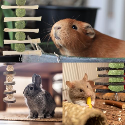 ERKOON Bunny Chew Toys, Rabbit Chew Toys for Teeth Grinding, Improve Dental Health, 100% Natural Apple Wood Timothy Grass Cake Treats for Rabbits Guinea Pigs Chinchillas Bunnies Hamsters (5 Pcs) - style: 5 Pcs