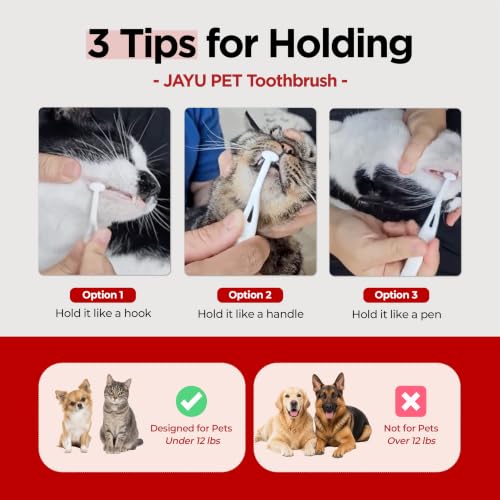 JAYU PET Dental Care Brush with Soft Bristles 1ea | Dog Toothbrush, Cat Toothbrush, For Kitten and Small Dogs, Removes Old Plaque and Tartar, Easy Cleaning - color: Soft Bristles, size: 1 Count (Pack of 1)