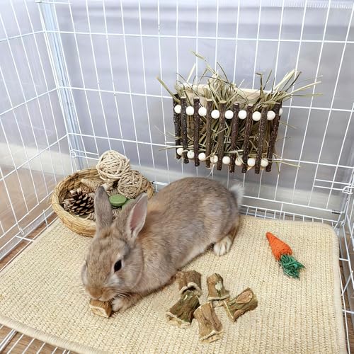 Bunny Chew Toys for Teeth Guinea Pig Treats Papaya Wood for Rabbit (3.5oz) | bunny supplies,rabbit enrichment toys,rabbit stuff,for bunny guinea pig chinchilla Hamster rabbit toys for bunnies boredom - size: 3.5oz（C）