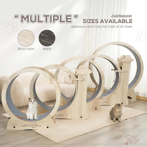 50" XL Cat Exercise Wheel, Low-Noise Indoor Treadmill, Black | 50" running diameter, 50 lb capacity, TPE low-noise rollers, under 6 mm gap, safety lock, removable carpet and stable base - color: BLACK, size: 50"