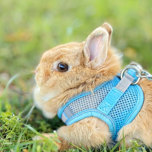 Rabbit Harness and Leash Set Escape Proof, Adjustable Soft Padded Vest, Breathable Mesh Bunny Harness with Reflective Strap, Safe for Small Animals(Blue,M) - color: Blue, size: M