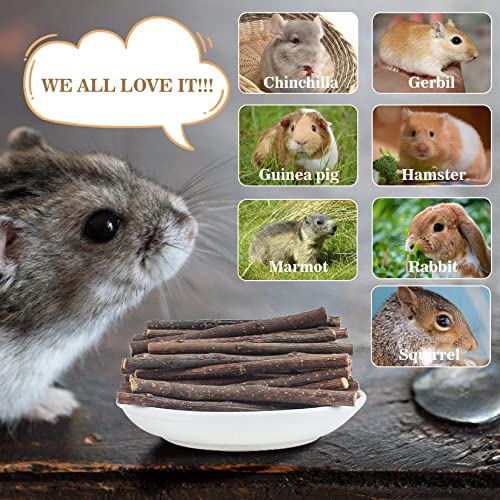 Sukh Natural Organic Apple Sticks - 250g Chew Sticks for Small Animals | Chew Toys for Hamsters, Rabbits, Guinea Pigs, Gerbils, Chinchillas & Squirrels, Teeth Grinding Supplies, Cage Accessories - size: 250g