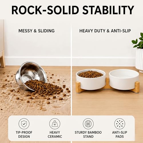 SPUNKYJUNKY Ceramic Dog and Cat Bowl with Wood Stand Non-Slip Matte Glaze Weighted Food Water Set for Cats &Small Dogs 13.5 OZ - color: White × 2, size: 1.7 cups