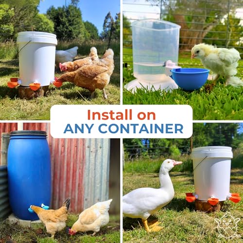 Lil Clucker - Blue Large Automatic Chicken Waterer Cups Suitable for Ducks, Geese, Turkeys, and Bunny Rabbit - Water Feeder Kit - Poultry Waterer - Pack of 5 - size: 5-Pack