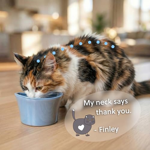 Elevated Cat Bowls for Water – Whisker & Neck Fatigue Shallow Cat Dishes – Raised Bowl for Indoor Cats – Vet-Recommended Height, Food-Grade Melamine – Non-Slip & Dishwasher-Safe – 8 oz White - color: White