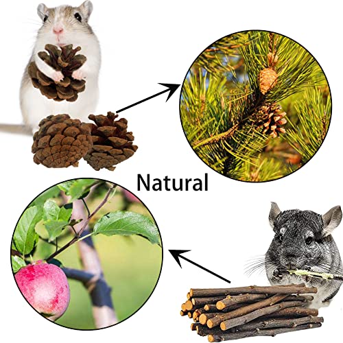 Wooden Hamster Tunnel Natural Birch Wood Tree Holes Tube Small Animal Hollow Trunk Hideout Exercise Dwarf Mice Chew Toys Cage Accessories for Chinchillas Guinea Pigs Dwarf Mouse Rat(10Pcs) - size: 【10Pcs】