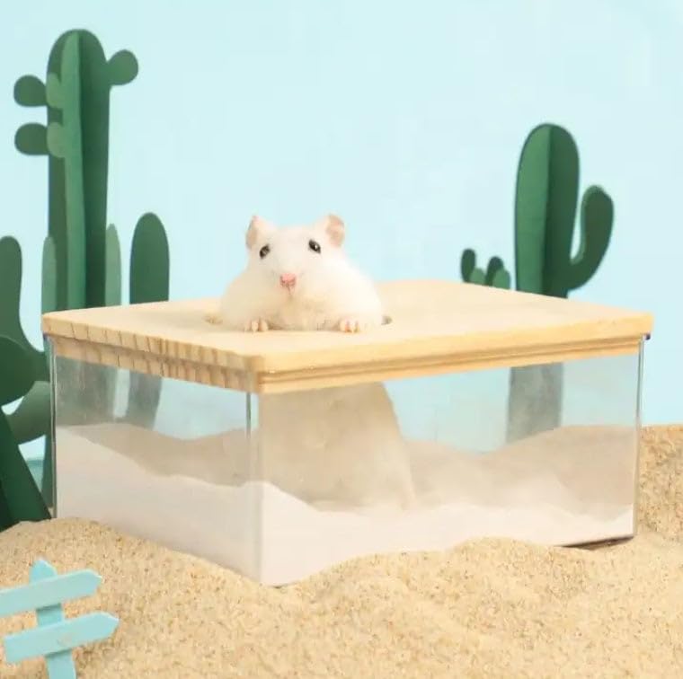 Exotic Nutrition Acrylic Sand Bath House - Fun & Unique Cage Accessory for Hamsters, Gerbils, Chinchillas, and Degus (Small) - size: Small