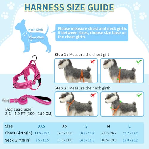 SlowTon No Pull Small Dog Harness and Leash Set with Front Clip | Soft Padded, Neck & Chest Adjustable, Lightweight, Anti-Twist, Puppy Vest Harness Pet Lead Combo for Small Medium Dog, FU, S - color: Fuchsia, size: Small