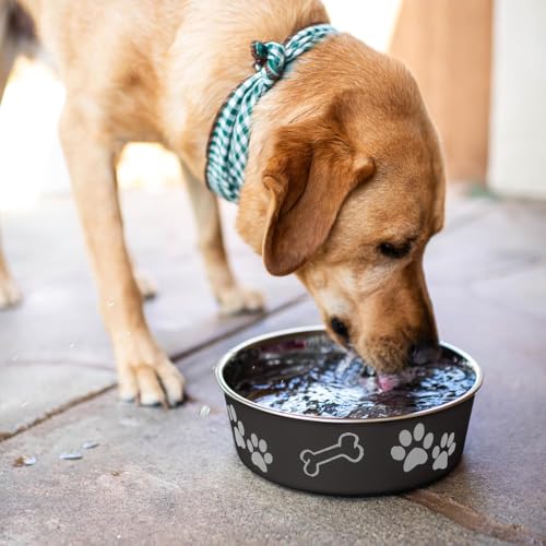 Loving Pets Bella Dog Bowls- Stainless Steel Dog & Cat Bowls - Spill Proof Dog Food Bowl, Cat Bowl, Puppy Essentials & Pet Supplies Great for Home & Travel (X-Large 65-100lbs, Espresso) - color: Espresso, size: X-Large (65-100lbs)
