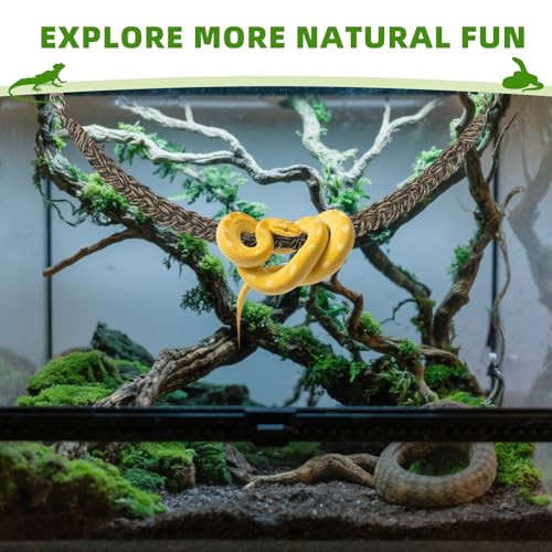 Snake Climbing Rope,Snakes Ladders Toys, Snake Enrichment Supplies, Small Reptile Tank Accessories, Reptile Climbing Toys for Ball Python Corn Hermit Crab Lizards Geckos (Black) - color: Black
