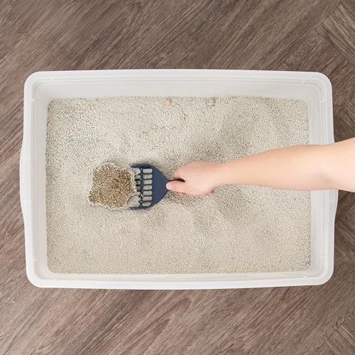 IRIS USA Large Cat Litter Box, Pearl | Training Cats, Quick Access Design, Visible Level Check, Simple Pan Style, Fastest Cleaning, Maximum Airflow