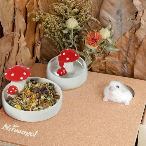 Niteangel Hamster Feeding & Water Bowls: Mushroom Ceramics & Chew-Resistant | Easy to clean & Stable Water Dish Feeding Bowls for Dwarf Syrian Hamsters Gerbils Mice Rats or Other Similar-Sized Small Pets - size: Water Bottle