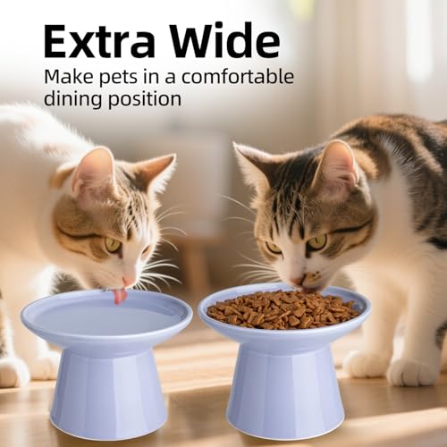 Ceramic Elevated Cat Bowls - 6.2 Inch Extra Wide Raised Cat Food and Water Bowl Set for Indoor Cats, Whisker-Friendly Ceramic Cat Dish for Elder Big Cats & Small Dogs,Light Purple,2 Pack - color: Light Purple, size: 2 Pack