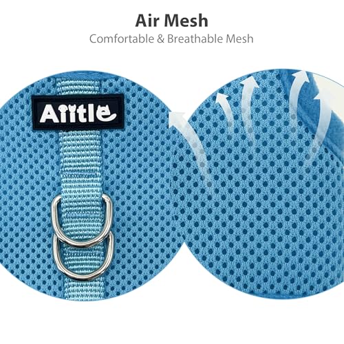 Adjustable Rabbit Harness and Leash Set Escape Proof, Blue M | Padded Vest with Magic Tape Design, Indoor/Outdoor Use (Training, Hiking) - Fits Hamsters, Rats, Iguanas, Puppies, Cats