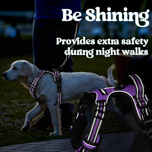 rabbitgoo Dog Harness Small Sized, Updated Easy On & Off with 3 Buckles | No Pull No Choke, Walking with 2 Clips and Handle, Adjustable Soft Reflective, Purple, Small - color: Purple, size: Small