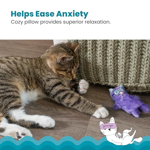 Catstages Purr Pillow Cat Toy – Plush Cat Toy with Touch-Activated Purr for Calming Cats & Kittens - color: Purr Pillow Kitty