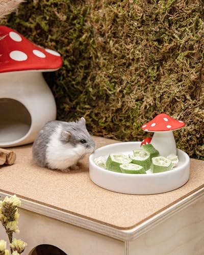 Niteangel Hamster Snack Treat Toy: Freeze-Dried Okra & No Additive | Delivers Essential Vitamins & Minerals- Small Animal Natural Treat for Dwarf Syrian Hamsters Gerbils Mice Degus or Small Pets