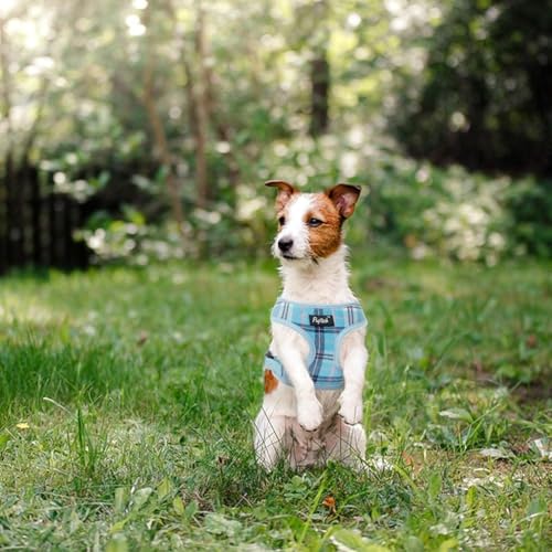PUPTECK Soft Mesh Dog Harness and Leash Set Pet Puppy Cat Comfort Padded Vest No Pull Harnesses, Light Blue, S - color: Blue, size: S (NECK: 12", CHEST: 14"-18")
