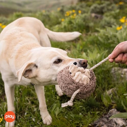 P.L.A.Y. Cute Plush Dog Toys - Forest Friends Critter Themed Durable Squeaker Crinkle Chew Toy, Great for Puppies & Small, Medium, Large Dogs - Machine Washable, Recycled Materials (Hedgehog) - style: Hamilton the Hedgehog