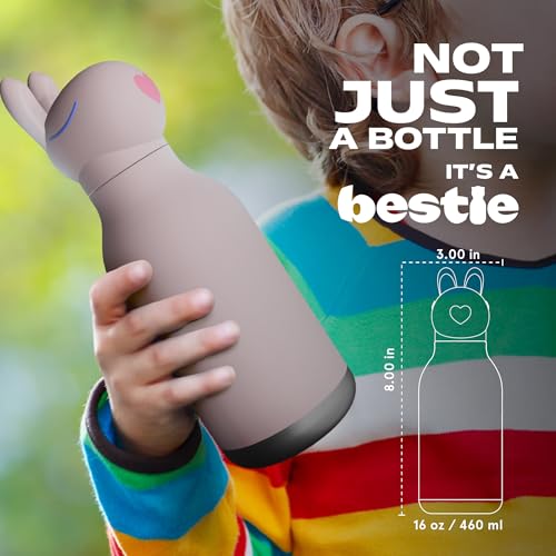 asobu Bestie Water Bottle, Cute Collectible Character, Leak Proof, BPA Free | 16 oz, Stays Cold 24 Hours, Double Wall Vacuum Insulation, Food Grade Stainless Steel, Spill Resistant, Great Gift Idea - color: Bunny bottle