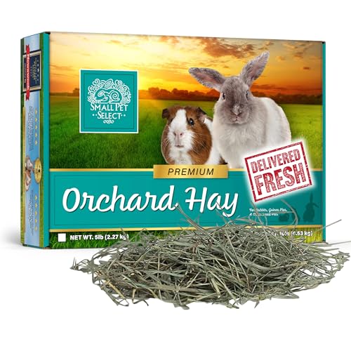 Small Pet Select Orchard Grass Hay Pet Food for Rabbits, Guinea Pigs, Chinchillas and Other Small Animals, Premium Natural Hay Grown in the US, 5 LB | Premium Natural Grass Hay, Grown in USA, Soft High Fiber Forage, For Chinchillas, Bunnies, Hamsters & Sm