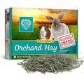 Small Pet Select Orchard Grass Hay Pet Food for Rabbits, Guinea Pigs, Chinchillas and Other Small Animals, Premium Natural Hay Grown in the US, 5 LB | Premium Natural Grass Hay, Grown in USA, Soft High Fiber Forage, For Chinchillas, Bunnies, Hamsters & Sm