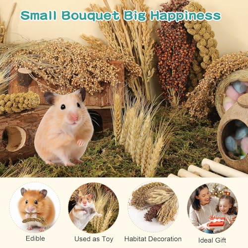 Hamster Spray Set - Natural Snack Grains & Chew Toys for Cage Decoration Accessories, Soft Bedding for Dwarf Syrian Hamsters, Gerbils, Mice & Small Pets - size: 6 Kinds of Grains