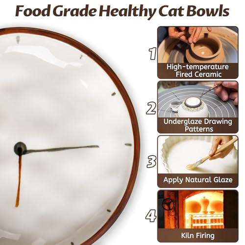 WROSWT Clock Cat Food Bowl,Non-Slip Silicone Bottom Cat Bowls for Indoor Cats,Anti Whisker Fatigue Cats Dishes Set,Shallow Wide Kitten Plates for Food and Water,3 Pack - size: Clock-3 Pack