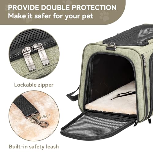 Petsfit Large Double Expandable Cat Carrier for Large Cats and Small Dogs | 19 x 12 x 12 in; dual-side expansion for large cats and small dogs, with anti-sag frame and locking zippers; up to 18 lb. - color: Green, size: 19"L x 12"W x 12"H