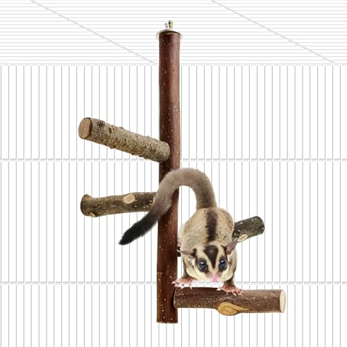Sugar Glider Toy Natural Fruitwood Perch Stand Squirrel Hanging Wooden Climbing Pole Hamster Paw Grinding Perch Small Animal Cage Accessories for Chinchillas Rats Gerbil - color: Applewood - Climbing Perch