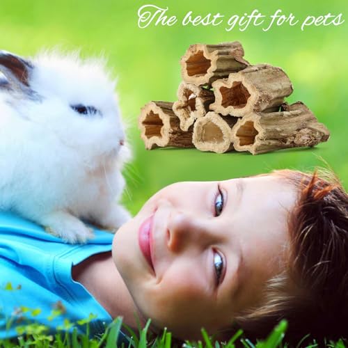Abizoo Natural Bunny Chew Toys,6 Pcs Organic Papaya Wood Sticks Chew Toys for Rabbit,Hamster,Guinea Pig,Chinchilla,Gerbil,Rat Healthy Chews Teeth Grinding Treats, Squirrel Molar Snack - size: S
