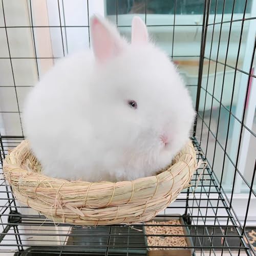 Bunny Grass Bed Guinea Pig Straw House Nest Hay Mats Grass Basket Hatch Chew Toy for Dwarf Rabbit Chinchillas Hamster Fancy Rat Pigeon Parrot 3 Pcs