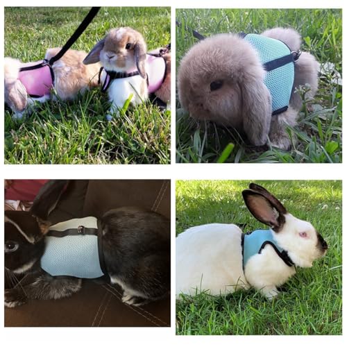 Rabbit Harness and Leash Set Bunny Clothes Guinea Pig Mesh Vest Pink L | Rabbits Leash Set Bunny Vest Adjustable Clothes Escape Proof Walking Small Animal Pets Rat Squirrel Ferret Harness Leash L - color: Pink, size: L Chest 7.8-11.8",For Adult Rabbits