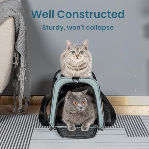 Petsfit Soft-Sided Cat Carrier,18 x 11 x 11 Pet Carrier | Airline Approved, Lightweight and Collapsible, Ventilation on 5 sides, Escape Proof, Adjustable Shoulder Strap & Soft Cushion - color: Z-Cyan blue, size: 18.0"L x 11.0"W x 11.0"H