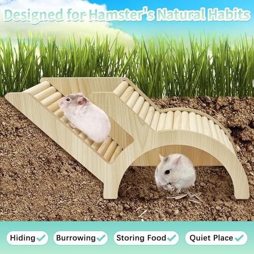 PINVNBY Hamster Climbing Ladder and Tunnel Hideout Wooden Hamster Climbing Toy Cage Decor Accessories for Gerbil Mice or Other Small Animals (Arch Bridge Tunnel)