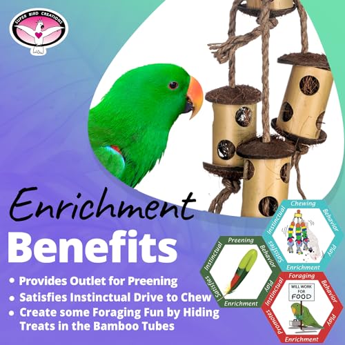 Super Bird Creations SB1219 Bamboo Climb & Forage Bird Toy - Ideal Chewing & Foraging Bird Toy for Large Birds, Parrots, Amazons, African Greys, Mini Macaws, Encourages Exploration & Physical Exercise
