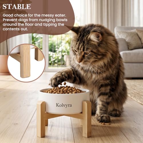 5'' Adjustable Elevated Ceramic Cat Bowl | Premium Food-safe Ceramic with Anti-slip Wood Stand,Dishwasher Safe,Ergonomic Height Relieves Neck Strain,Black - color: Black, size: 5 in