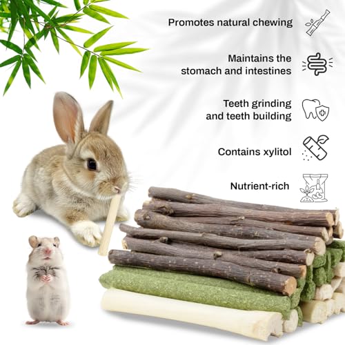 Sukh 300g Rabbit Chew Toy Set-Timothy Hay,Apple Sticks & Sweet Bamboo Stick | Natural Small Animal Treat Set for Rabbits, Guinea Pigs, Chinchillas and Squirrels, for Teeth Grinding, Enrichment and Gifts - color: Timothy & Apple & Sweet Bamboo