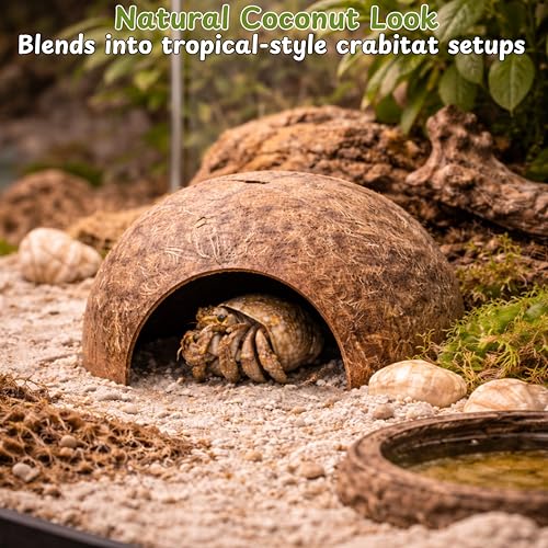 Hermit Crab Coconut Hideout Climbing Toys, Hermit Crab Coconut Shell Hut and Hideout with Ladder, Climbing Ladder Bridge Ramp Hammock Toys, Small Animals Tank Accessories (Coconut Ladder)