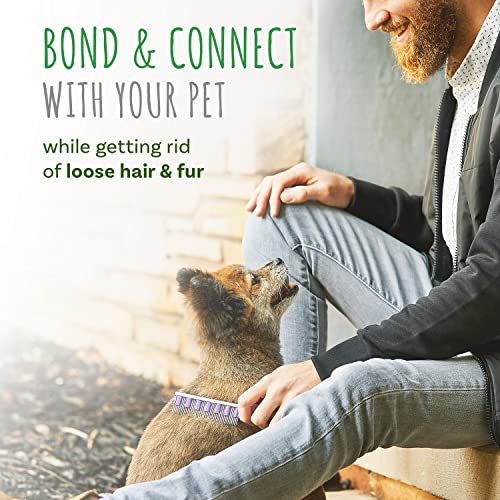 Small Pet Select - Hair Buster Comb for Rabbits, Cats and Dogs, Metal Pet Comb for Shedding and Detangling, Grooming Tool for Small Pets with Long and Short Fur | Metal Grooming Comb, Reduces Shedding & Detangles Fur, For Long & Short Coats, Rabbits, Cats