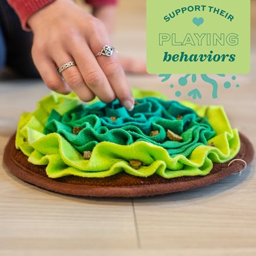Oxbow Lettuce Forage Mat for Rabbits & Guinea Pigs, Enriching Food Puzzle | Oxbow Enriched Life, Small Animal Enrichment, Food Mat, Rabbits, Guinea Pigs, Hamsters, Chinchillas, Fleece, Scatter Feeding