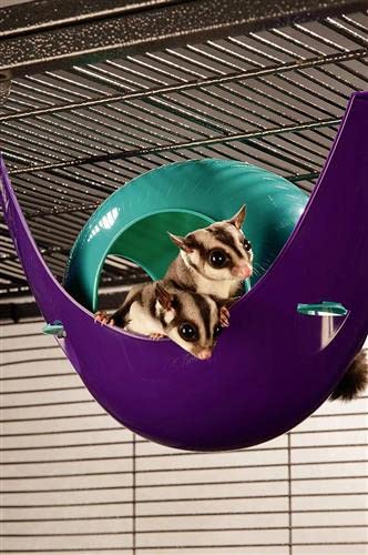 Exotic Nutrition Nap Nook - Unique Nest Pod Cage Accessory Toy - Use Grounded or Hanging - Sugar Gliders, Hamsters, Mice, Rats, Birds, Degus, Chinchillas, & Other Small Pets (Small) - size: Small