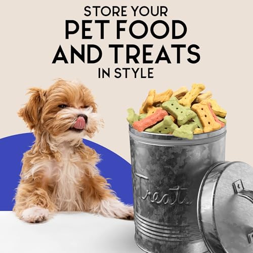 Amici Pet, Retro Treats Galvanized Relief Lettering Metal Storage Canister, Food Safe, Push Top, 72 Ounces (Pack of 2) - size: Large/72 oz (Pack of 2)