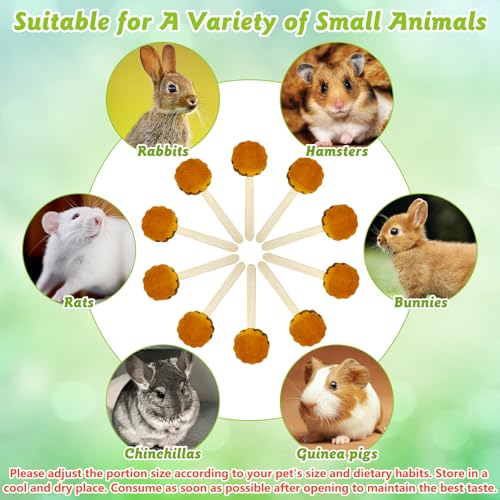 Hamiledyi Bunny Chew Toys for Teeth Natural Rabbit Lollipop Chewing Sticks Hamster Pumpkin Molar Toy Chews and Snacks for Guinea Pig Chinchilla Gerbil (Pumpkin,10Pcs)