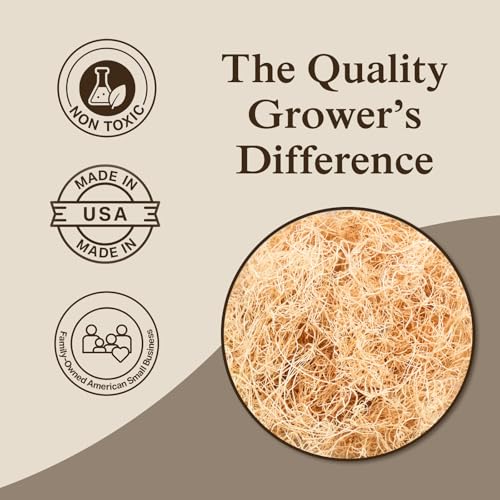 Aspen Wood Excelsior, Fine Cut, Small 2-Pack | Natural Aspen Wood Excelsior for Crafts & Animal Bedding, Cages, Soft & Absorbent, Dye-Free, Family Owned, USA Made