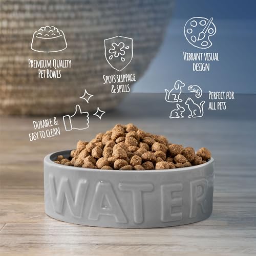 Ceramic Pet Bowl for Dogs and Cats, Food and Water Dish, 8 Cup Capacity, Large, Grey, Dishwasher and Microwave Safe - color: Grey, size: Large