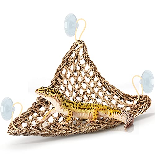 SunGrow Leopard Gecko, Hermit Crab, Reptile Hammock, 7.8 x 7.8 x 11 Inches, Handwoven, Includes 3 Suction Cups (1 Pieces (22 x 7 in))
